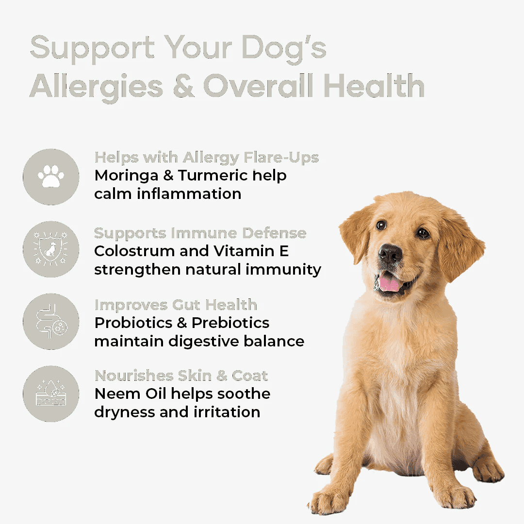 Furnexa ImmunoFlo dog supplement packaging